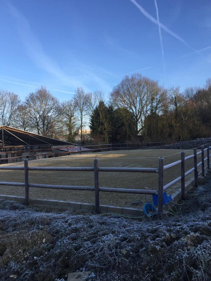 Maison Ecologique En Pleine Nature Bouleurs Zewnętrze zdjęcie